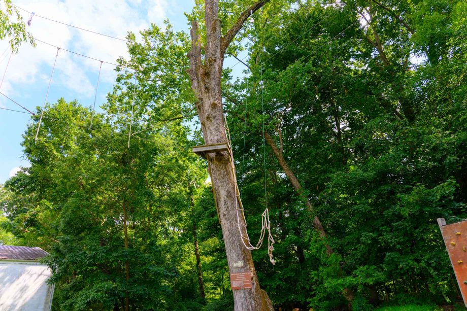 High ropes course facility