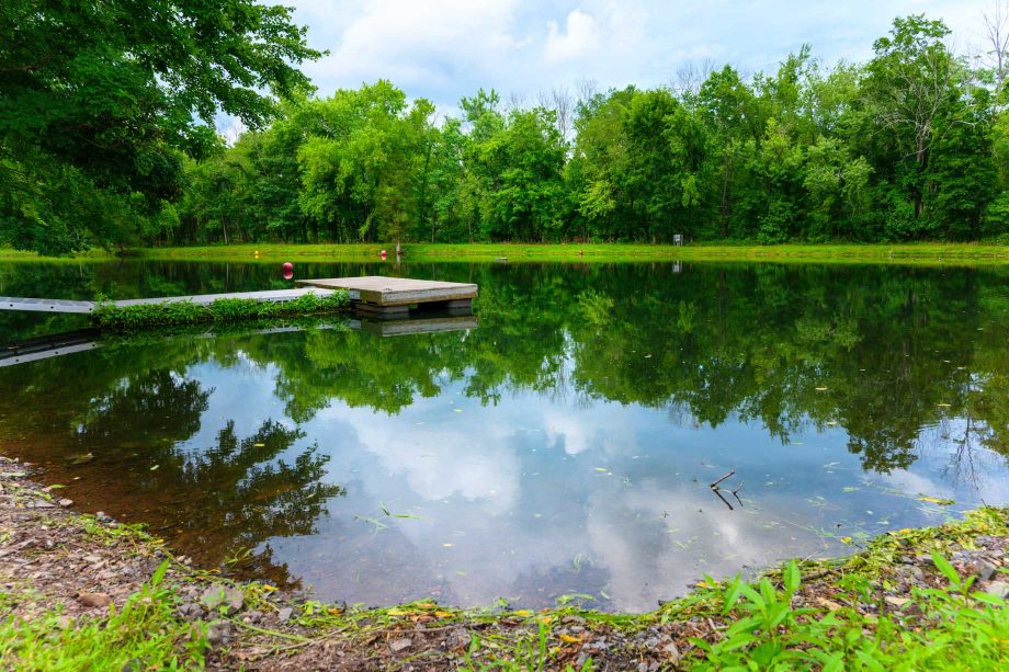 Pond and dock